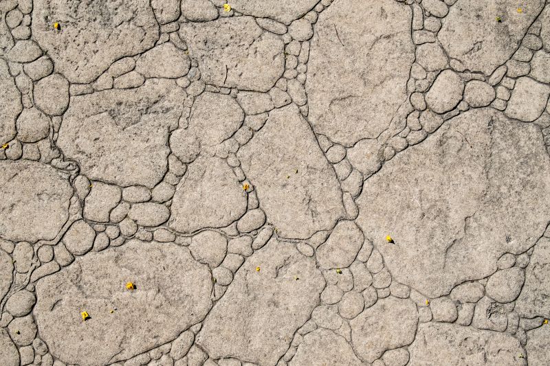 Decorative Concrete Repair in Louisville, KY